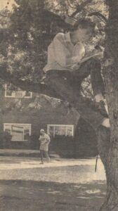 Reading in a Tree